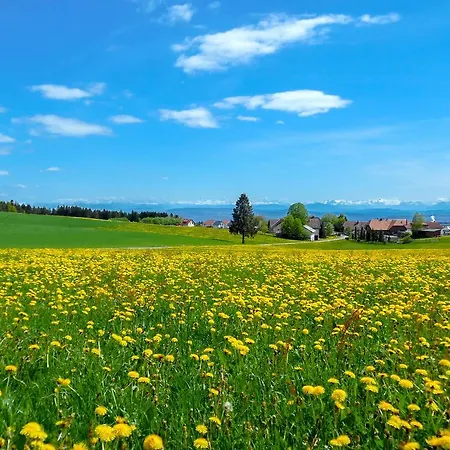 科提纳酒店 招待所 霍兴斯旺德