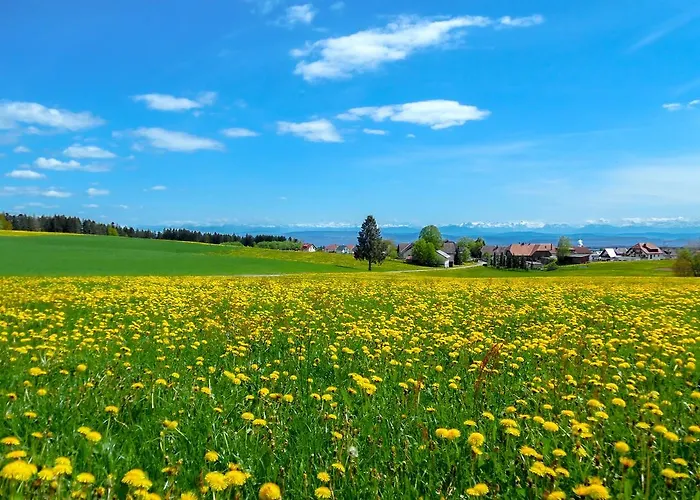 Cortina Pensjonat Höchenschwand